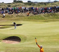 FlightPath Performance Golf Tee