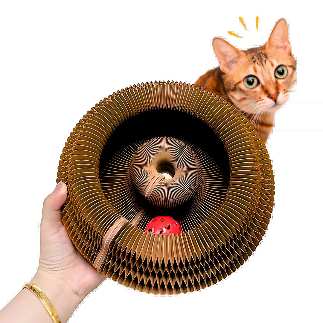 kitty kurlz